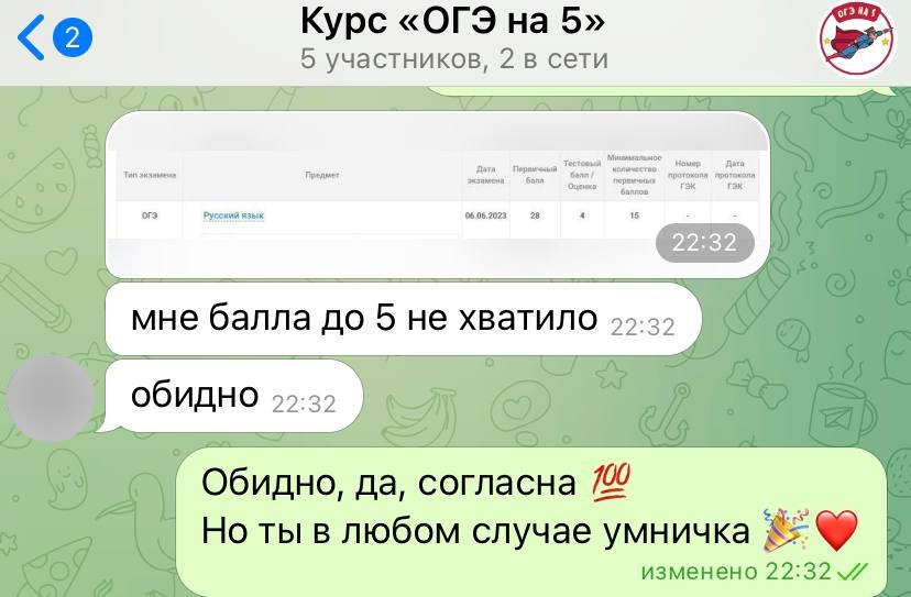 Переписка с учеником курса — официальный протокол ОГЭ, 28 баллов